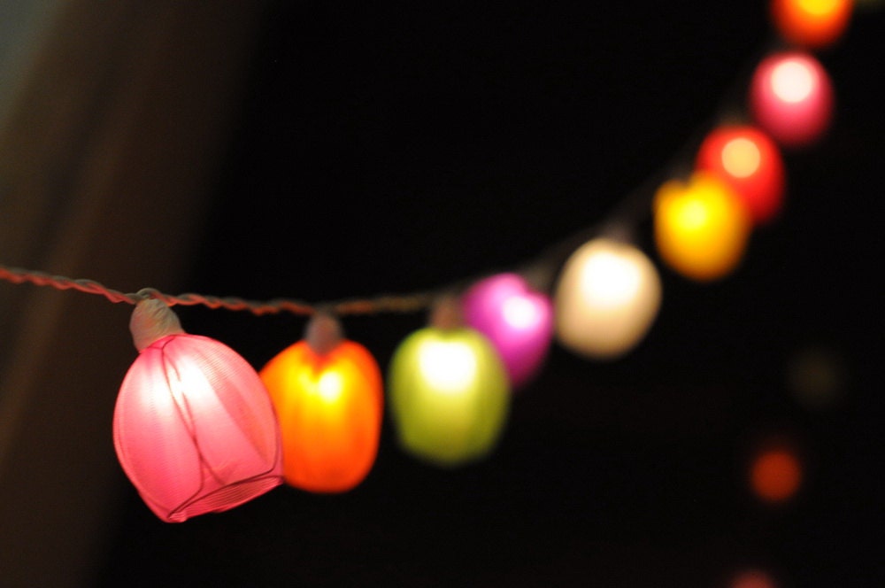 20 rainbow tulip floral flower colorful candy color garland string light lantern patio bedroom living room decor