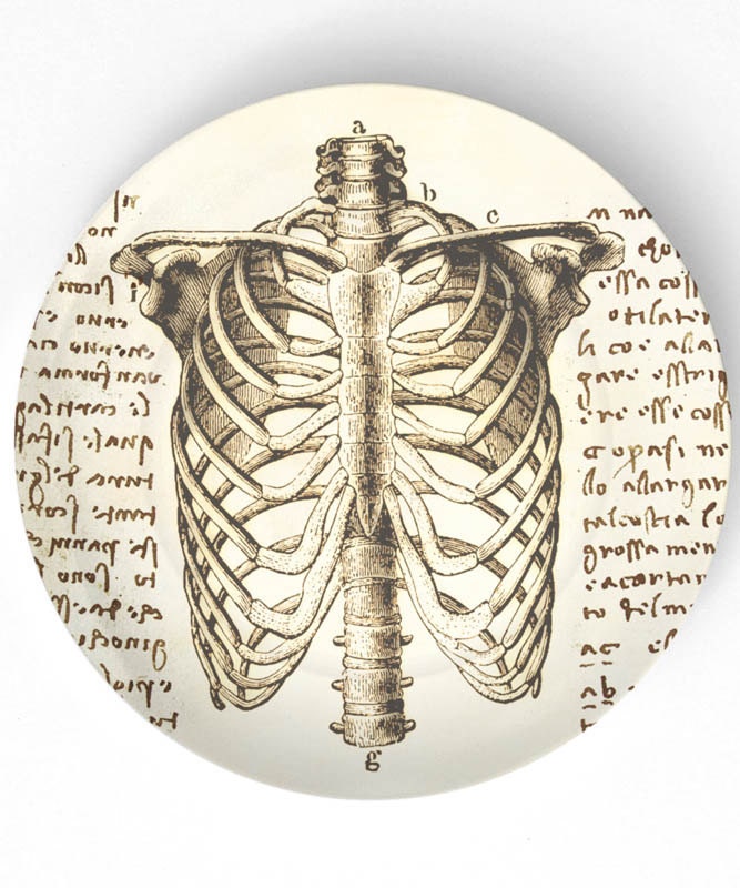 Da Vinci - rib cage - 10 inch Melamine Plate