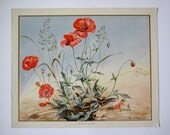 Vintage 1930's Nursery Rhyme Print, The Elf and the Poppy