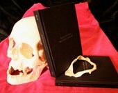 Raw silk hand bound limited edition numbered book about Nine Inch Nails' Pretty Hate Machine