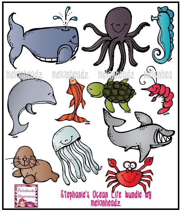 Stephanie's ocean life bundle