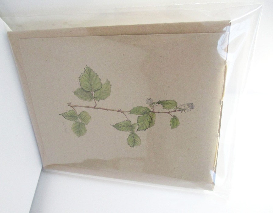 American Red Raspberry Plant Jotter Journals - (set of 3 mini journals)