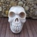 SALE 15% Off Awesome hand carve Skull drilled top to bottom ,Jewelry Supplies B3470