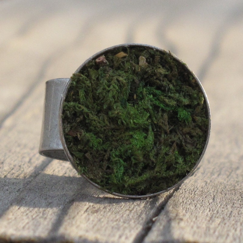 Moss Ring, Eco Friendly, Terrarium Ring, Terrarium Jewelry, Living Plant Jewelry, Earth Day, Garden Gift