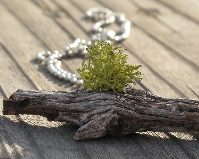 Moss Wood Necklace, Moss Jewelry, Moss Growing from Wood Necklace, Living Plant Jewelry, Eco Friendly, Earth Day, Garden Gift