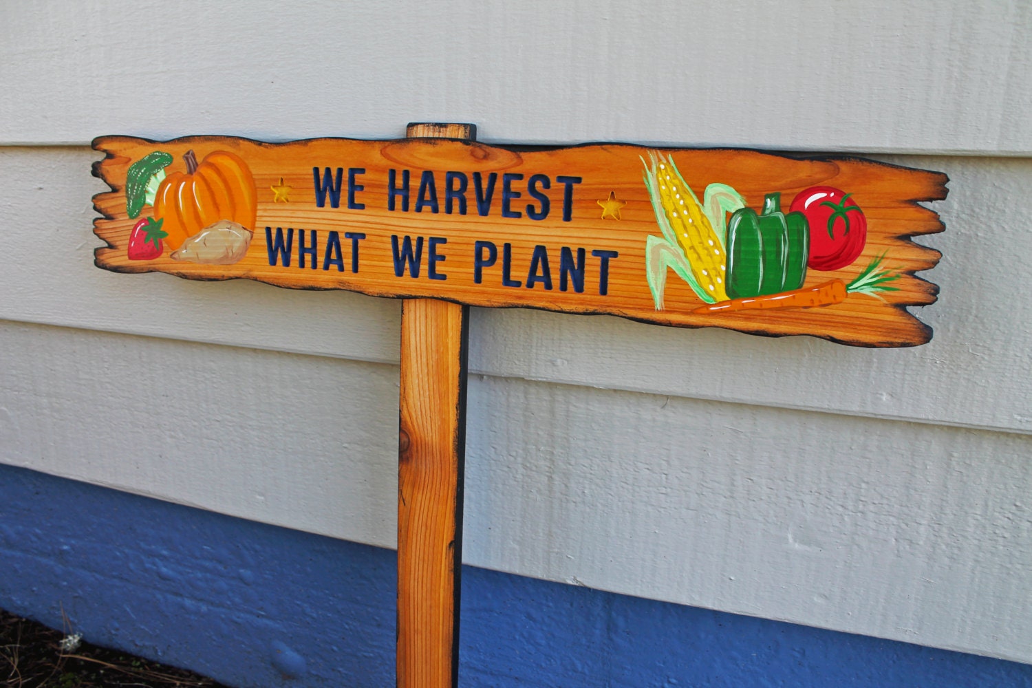 We Harvest What We Plant, CUSTOM Garden Sign, 5 Words and Artwork of Vegetables