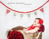 LOVE Banner/Valentine's Day Prop