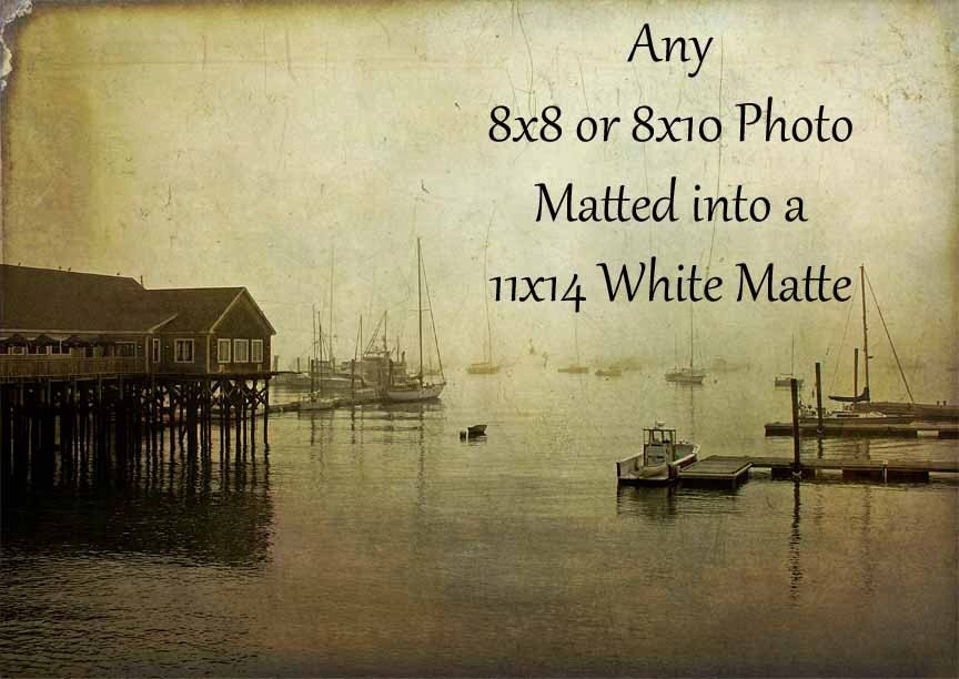 Any 8x8 or 8x10 Photo Matted to a 11x14 White Matte