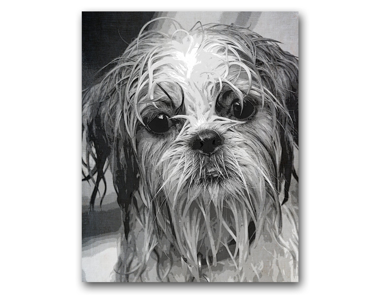 WET PUPPY, Animal Portrait, Black & White, Photography, Kids, Children, Fine Art