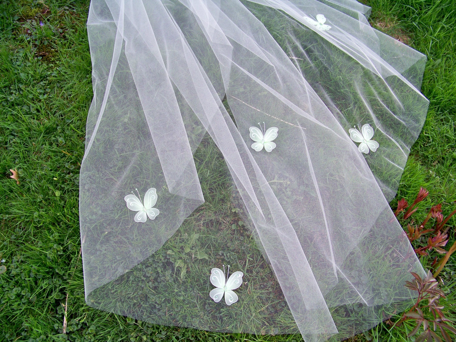 Butterfly Long Cathedral Wedding Veil 1 Tier Cut Edge