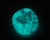 Glass Magnet Glow in the Dark Blue Butterfly - Free U.S. Shipping