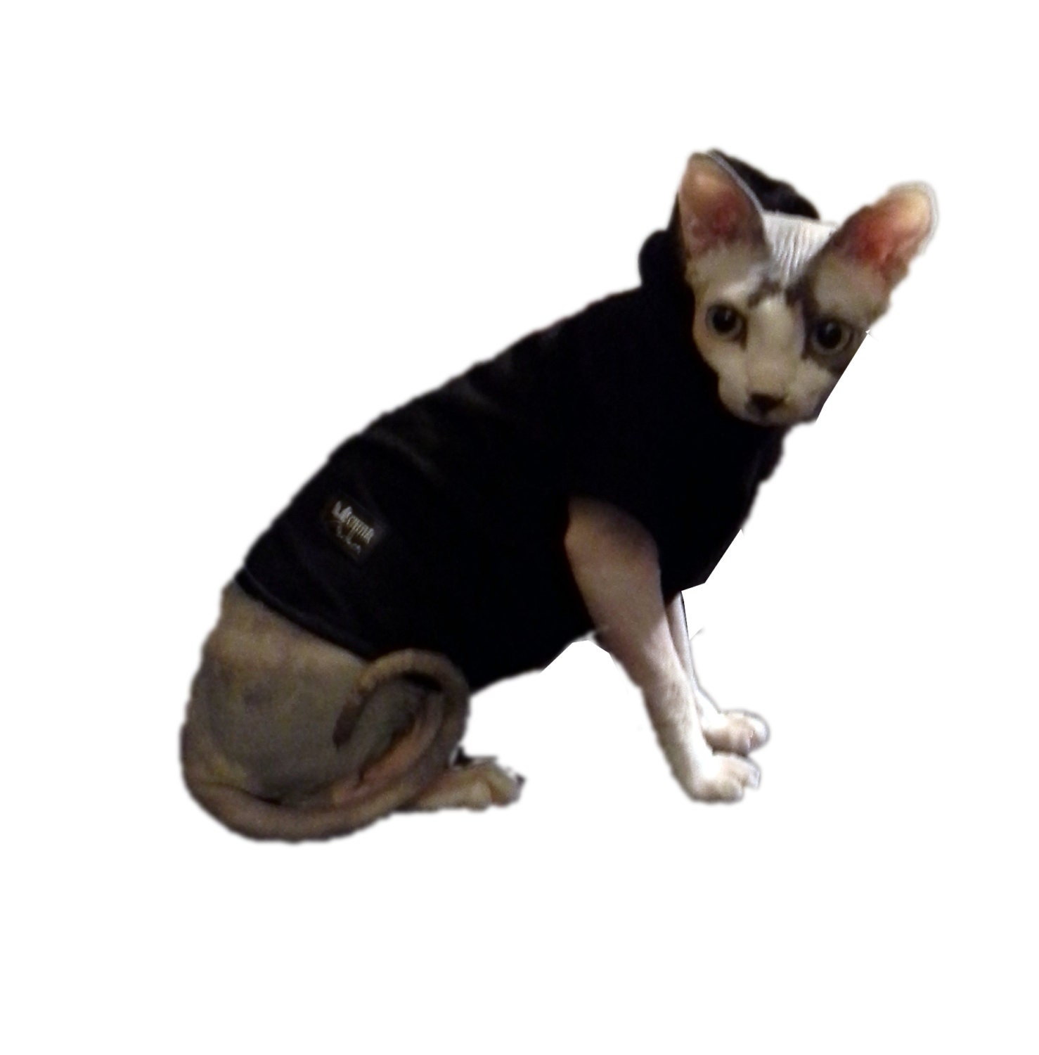 Urban Ears Sphynx Hoodie Black Cat
