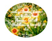And yesterday I saw you kissing tiny flowers Print