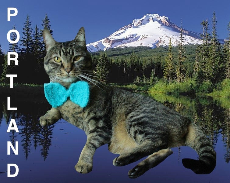 Portland Cat Bow Tie Postcard - Mt. Hood