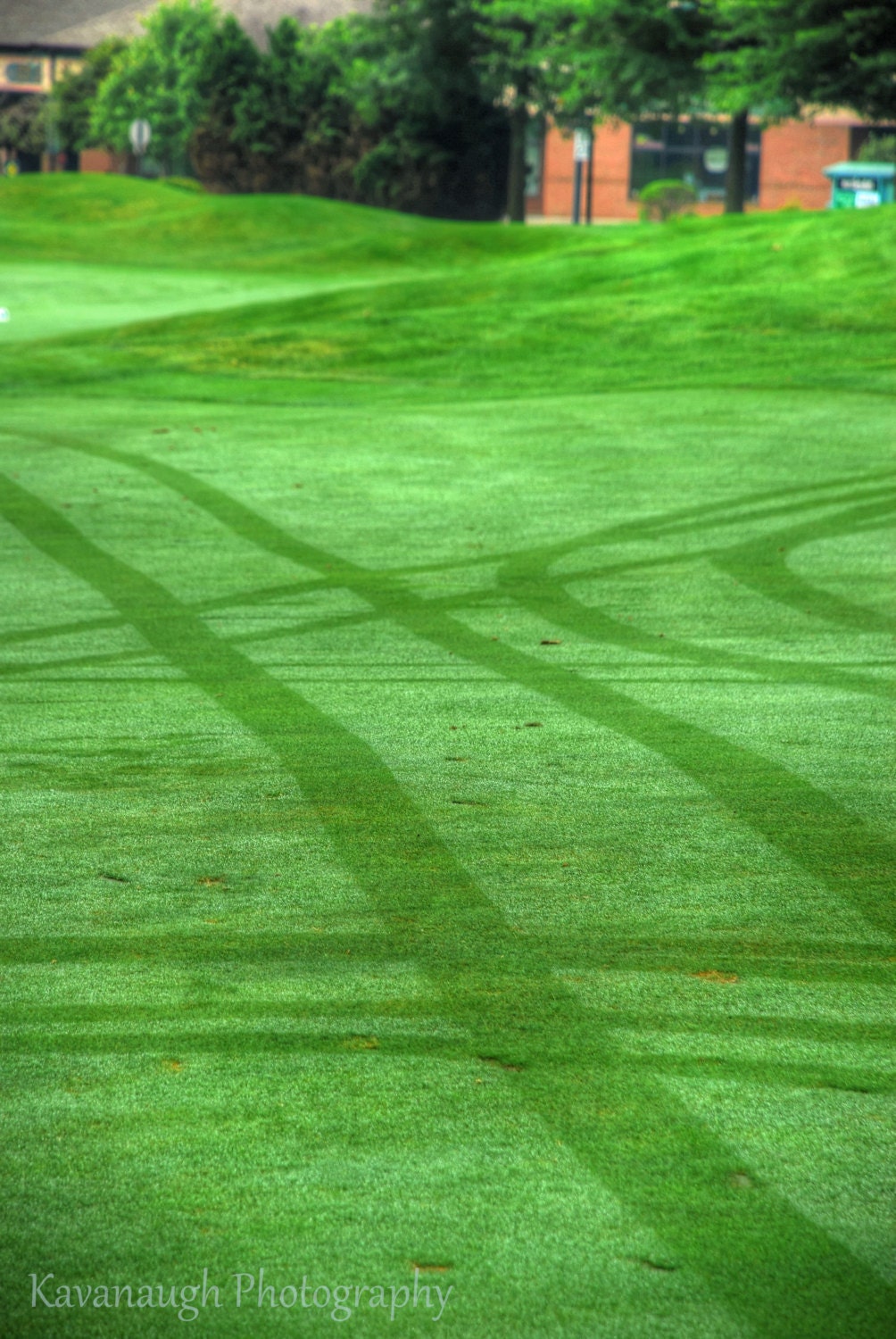 Golf Cart Tracks Photograph