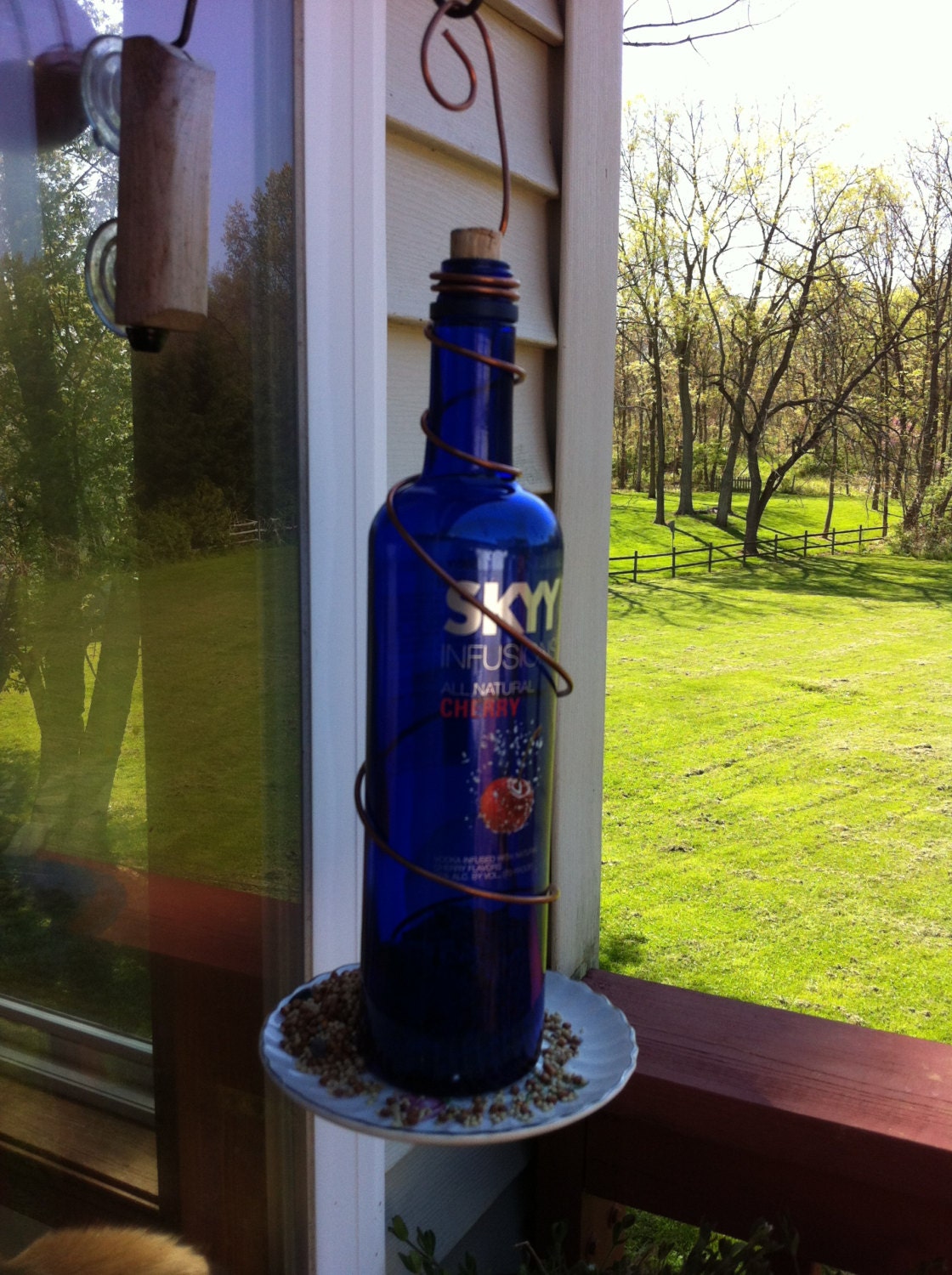 Blue Skyy  Bottle Bird Feeded