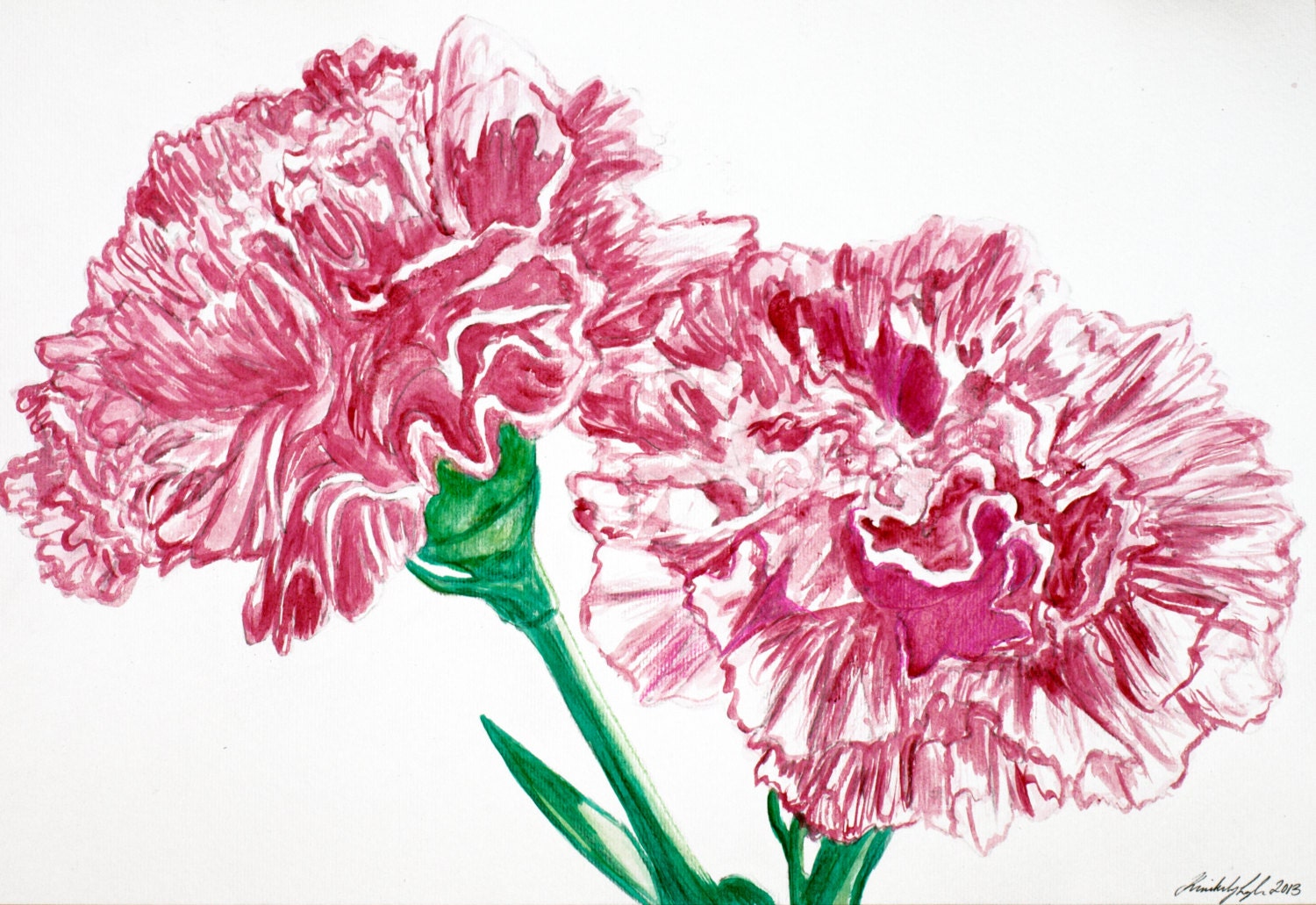 Spring SALE - Original Illustration of Pink Carnation Flowers in Full Blossom - Watercolour Painting - Modern Wall Art