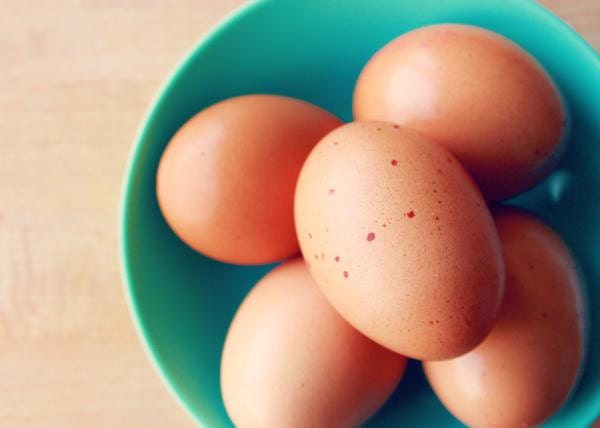 Fresh Eggs Farm Food Photography 5x7 Fine Art Print Brown Eggs Teal Natural Rustic Home Decor