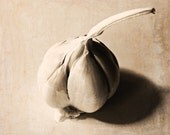 Garlic Food Photography 8x8 Fine Art Print Head of Garlic Rustic Home Decor Shallot Sepia Kitchen Decor
