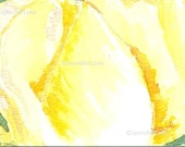Original Watercolor - Jennifer Love Artwork ACEO Yellow Rose art painting 2.5 x 3.5 Soft Rose OOAK sfa EBSQ