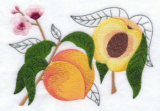 Botanical Vegetable Series - Peaches - Embroidered Decorative Linen Towel or Absorbent White Cotton Flour Sack Towel