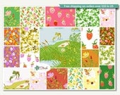 PRESALE - Briar Rose Fat Quarter Bundle - Entire Collection - Heather Ross for Windham - 20 Fat Quarters - 5 Yards Total