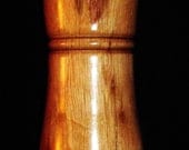 Pet Urn