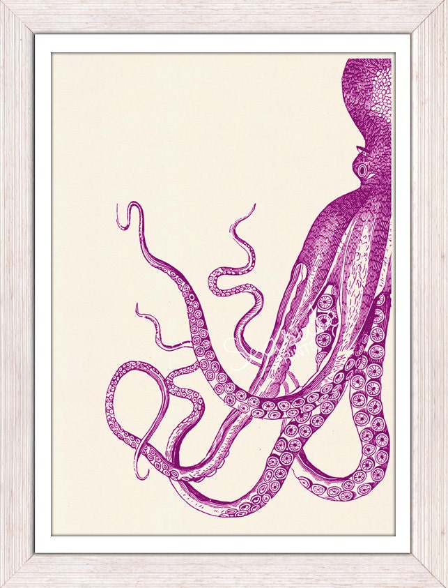Vintage octopus n 24 - sea life print- Marine  sea life illustration A4 print- vintage natural history