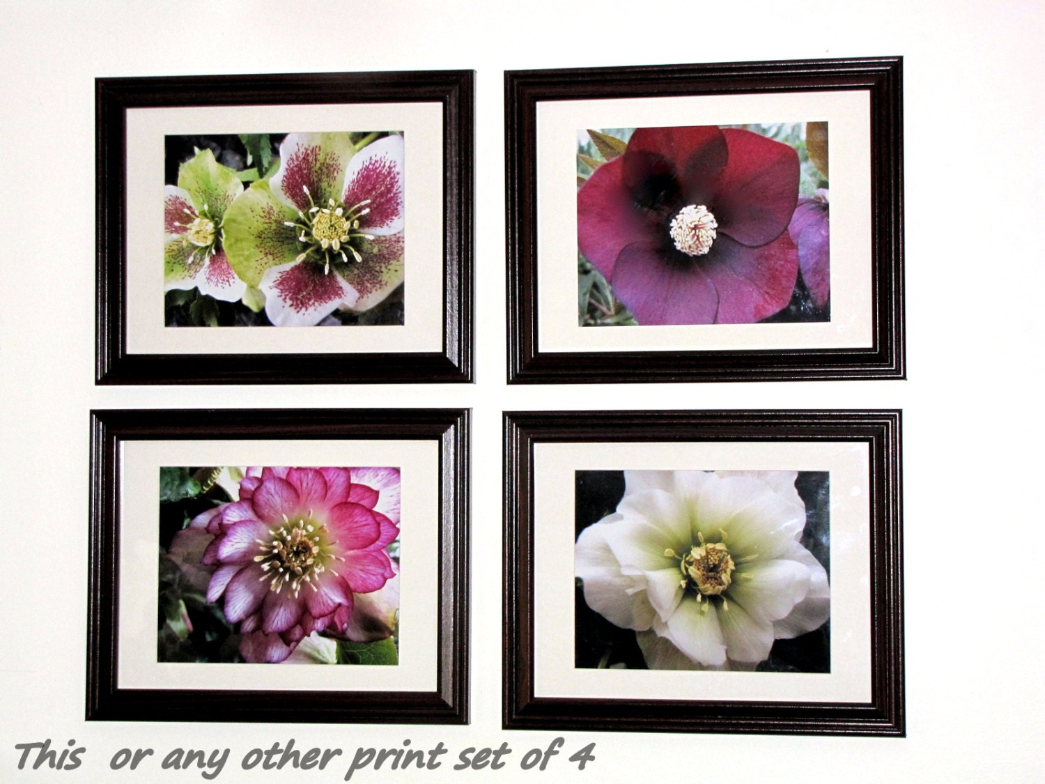 Maroon, Pink, and White Flowers Print, Set of 4, Nature Photography, Flower bloom, 8 x 10 Art Print, Wall Decor, Home Decor