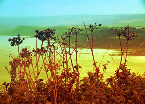 RUSTIC COASTAL LANDSCAPE View Rust Blue yellow Photograph Sea