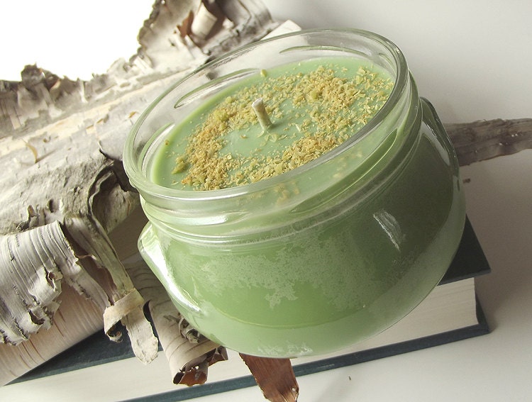 Dill Pickle scented Soy Candle - Hand Poured Soy Candle -- 11 ounce Jar