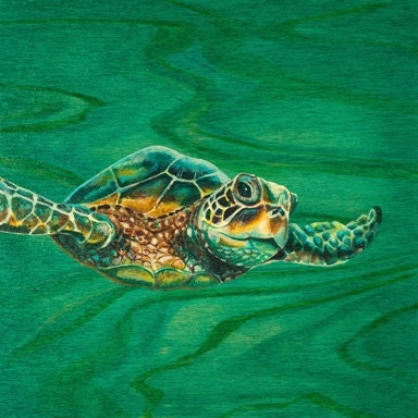 Little Sea Turtle Fine Art Print 8x8"