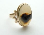 Amazing Vintage Picture Agate Ring 1940s 10K