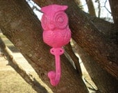 Hot Pink Owl Wall Hook-Jewelry Holder-Cast Iron-Rustic Home Decor-Lodge Decor- Unisex- Cottage- Children- Towel Holder