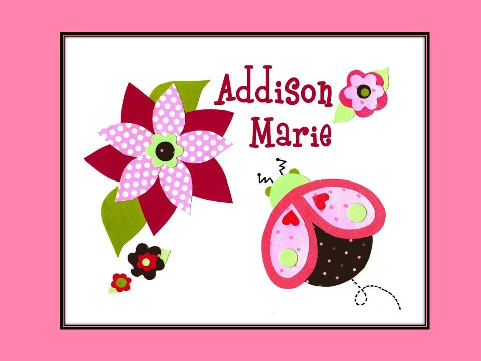 Ladybug Wall Art, Pink & Brown Baby Girl Nursery Decor, Personalized 8 x 10 collage print