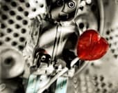 Grey Robot with Red Heart Lollipop 5 x 7 Photographic Print