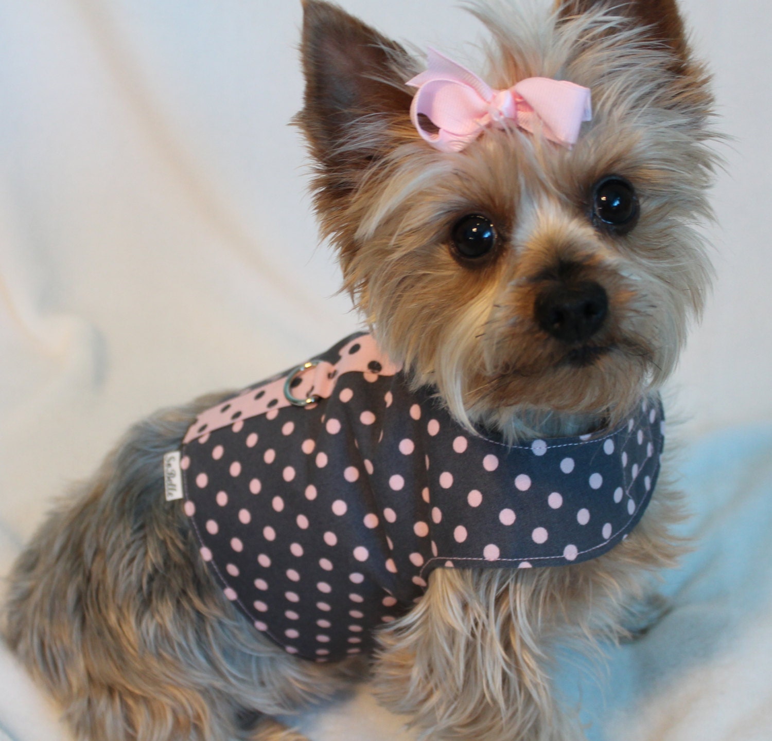 SMALL Pink on Gray Polka Dot Dog Harness