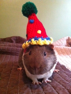Guinea Pig Birthday Party Hat Costume - Guinea Pig Clothing - Guinea Pig Accessories