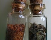 Necklace of Herbs and Spices. Mini Glass Bottle Pendants. Silver Chain. Also Salt and Pepper Necklace Available.