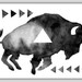 Print - Geometric Sleepy Buffalo - Print from an Original Watercolor