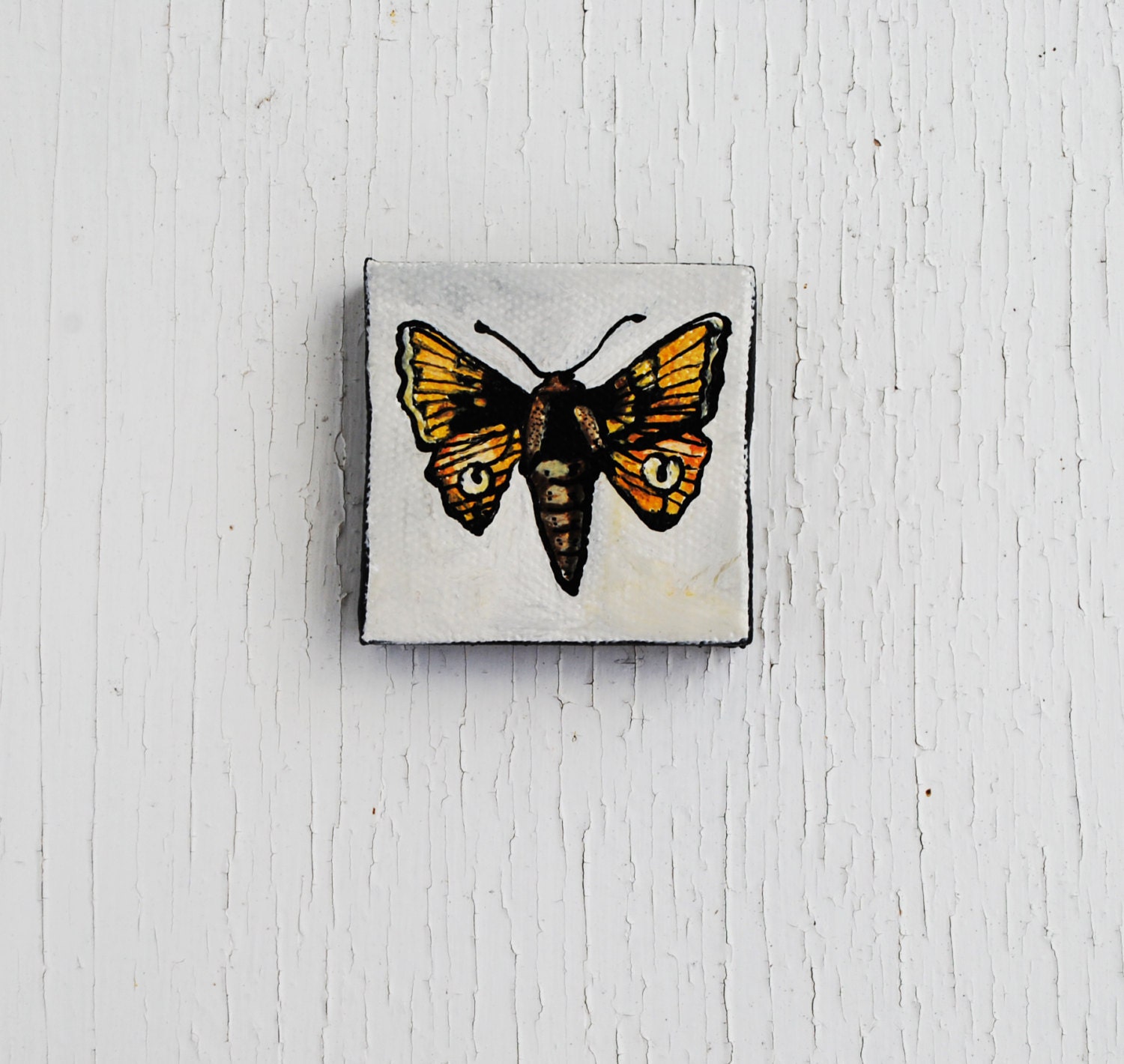 Tiny Moth Painting.  Tiny Art.  Original Oil Painting.  Insect. Nature.  Spring. - SorchaMoon