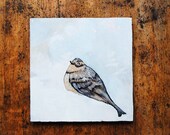 Winter Bird Painting.  Original Artwork.  Thrush.  Snow.  Animal art.  Oil Painting.