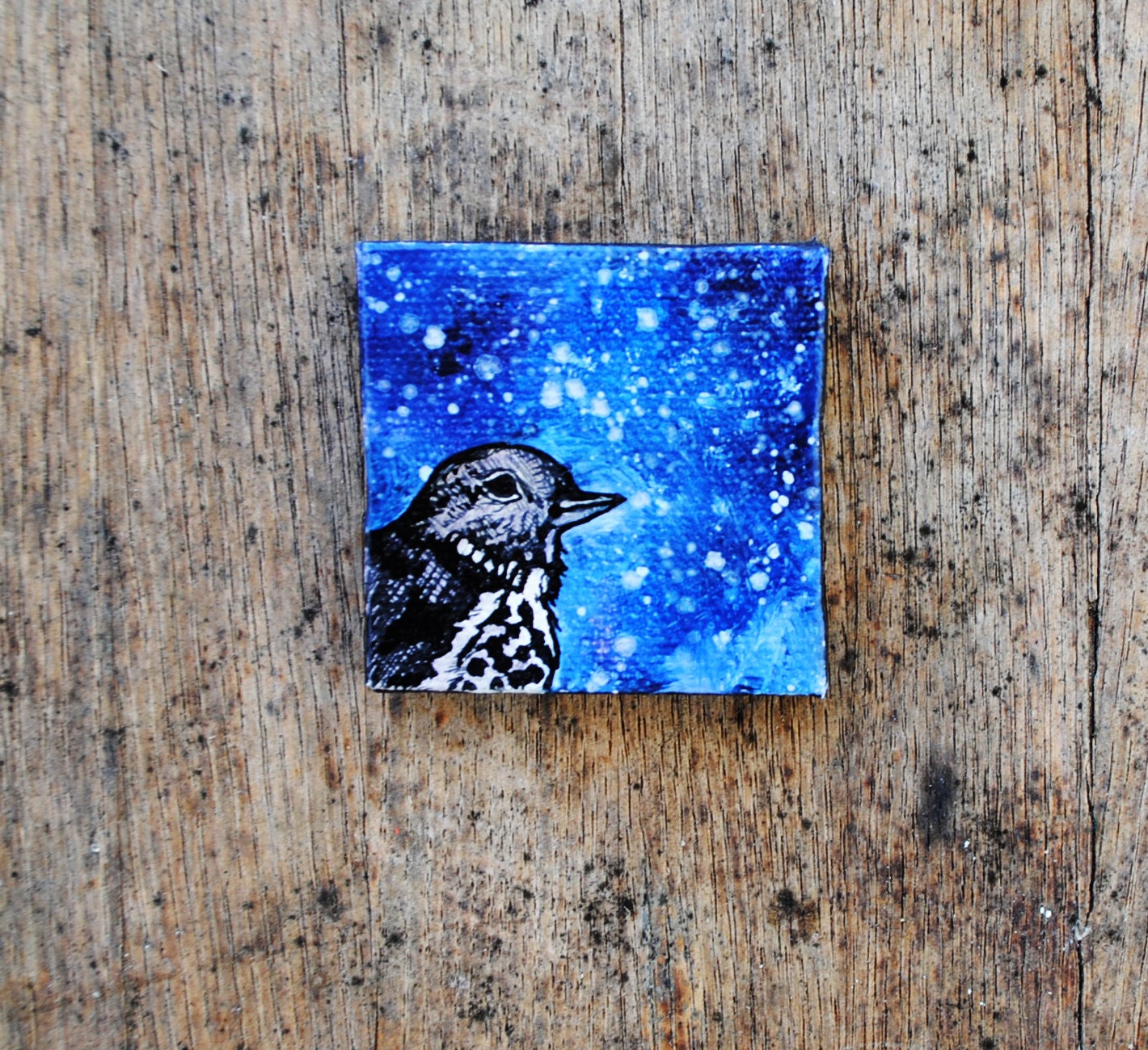 Night Thrush Bird Painting - Blue. Indigo.