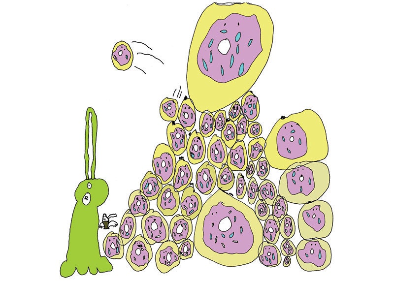 Onebunny surrounded by donuts