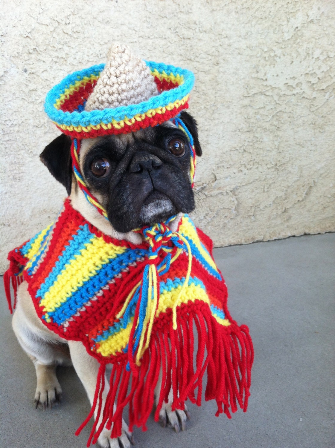 Hats for dogs-Costumes-Cinco De Mayo-Pugs-Novelty Hats-Hats for Pugs-Pugs