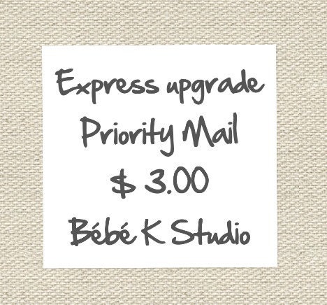 Priority mail add-on to any US purchase 