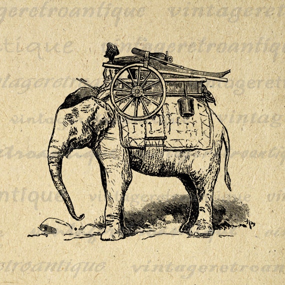 vintage elephant clip art - photo #8
