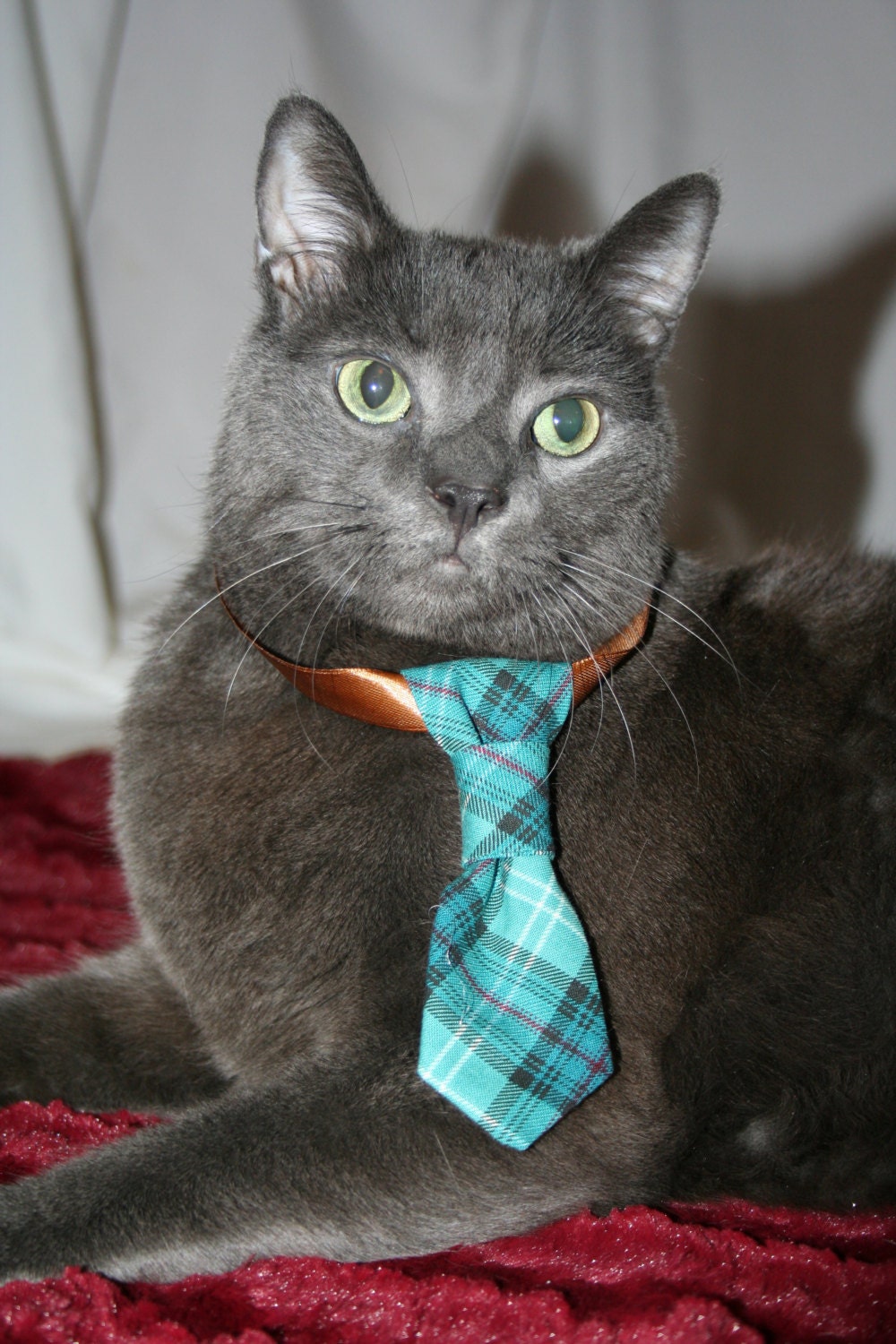 Modern Plaid Neck Tie