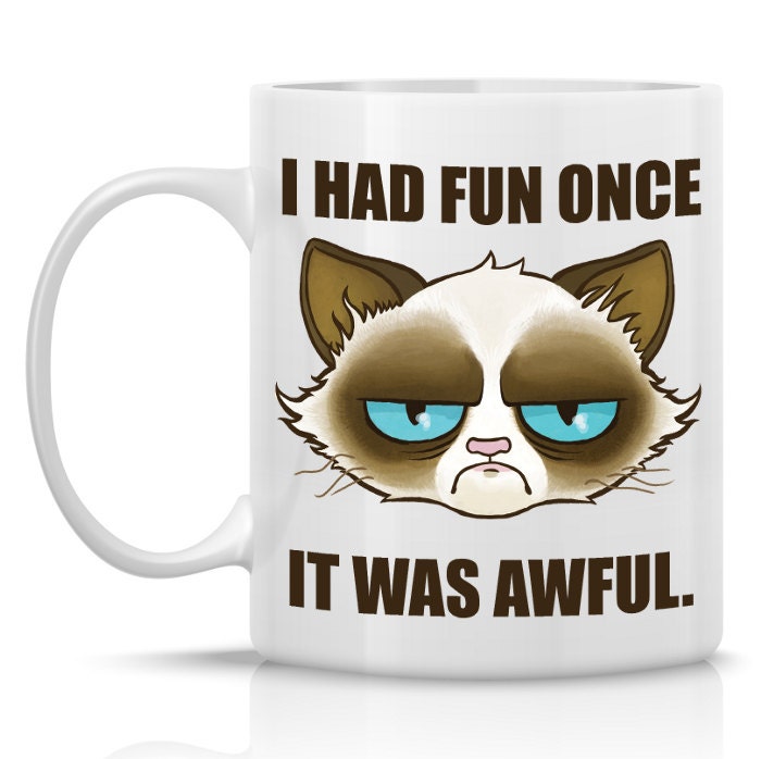 Cactus the Cranky Cat Mug - I had fun once, it was awful - 11oz ceramic mug - Meme mug similar to Tard the Grumpy Cat(TM)