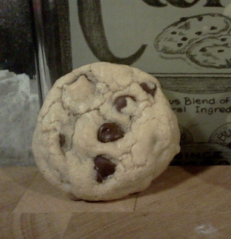 HomeMade Chocolate Chip Cookies ... Delicious & Chewy ... 2 dozen
